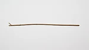 Staff of Amenhotep by Unknown Artist