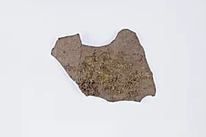 Strainer or vase fragment by Unknown Artist