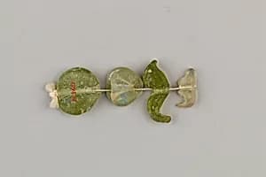 String of 4 beads by Unknown Artist
