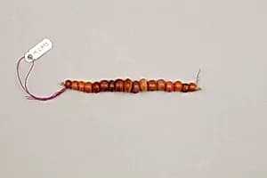 String of beads by Unknown Artist