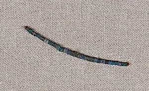 String of beads from girdle by Unknown Artist