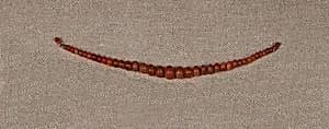 String of Carnelian Ball Beads by Unknown Artist