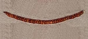 String of Carnelian Beads by Unknown Artist