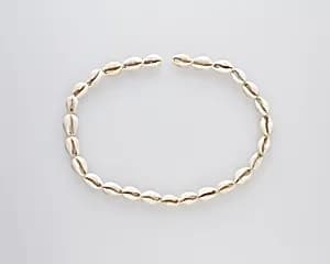 String of cowrie shells by Unknown Artist