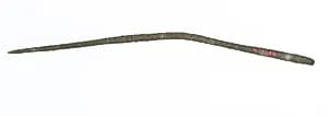 Textile manufacturing tool: needle by Unknown Artist