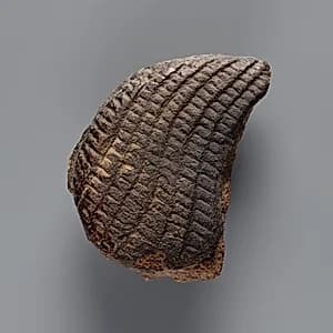 Tile Inlay depicting a Wig by Unknown Artist