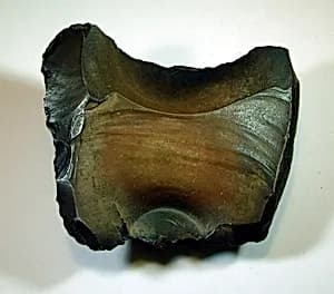 Tool (?) by Unknown Artist