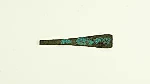 Tweezer fragment by Unknown Artist