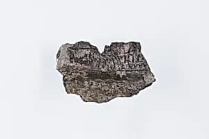 Vessel fragment by Unknown Artist