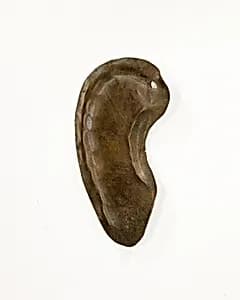 Votive Ear by Unknown Artist