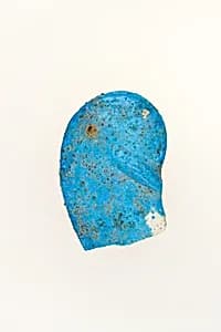 Votive Ear fragment by Unknown Artist