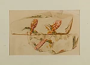 Water Plants