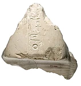 Wig of Nefertiti, inscribed by Unknown Artist