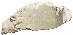 Wig of Nefertiti, inscribed by Unknown Artist