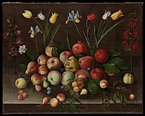 Fruit and Flowers by Orsola Maddalena Caccia