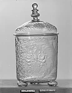 Beaker with cover