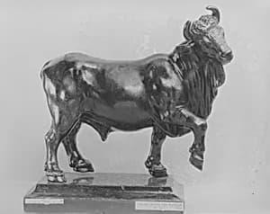 Bull by Unknown Artist