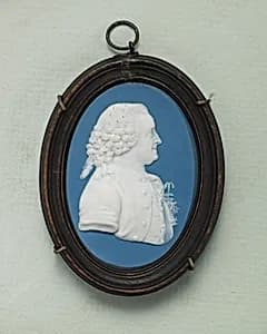Carolus Linneaus by Josiah Wedgwood|John Flaxman