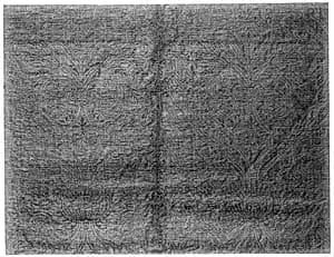Cloth of silver by Unknown Artist