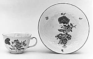 Cup and saucer by Ludwigsburg Porcelain Manufactory