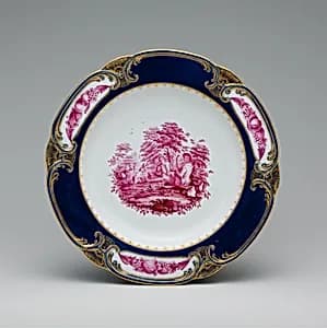 Dish