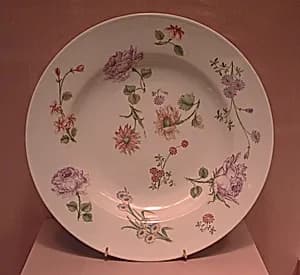 Dish