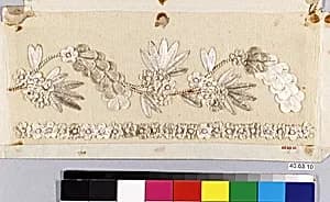 Dress border by Unknown Artist