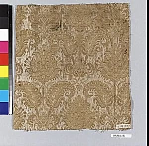 Fragment by Unknown Artist