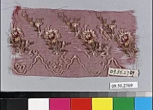 Fragment by Unknown Artist