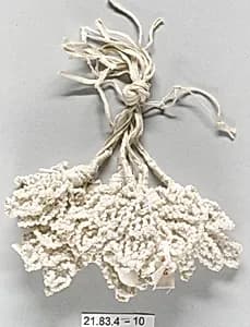 Group of tassels by Unknown Artist