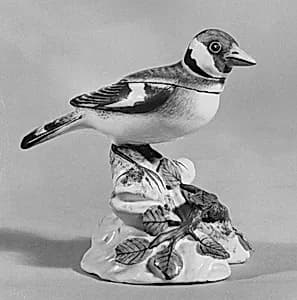 Linnet by Unknown Artist