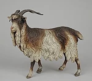 Male adult goat by Unknown Artist