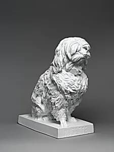 Musette, a Maltese dog by Albert-Ernest Carrier-Belleuse|Jean-Baptiste Gille