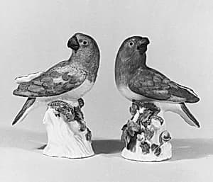 Parrot (one of a pair) by Johann Joachim Kändler|Meissen Manufactory