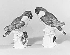 Parrot (one of a pair) by Meissen Manufactory|Johann Joachim Kändler