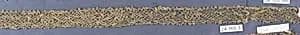Passementerie by Unknown Artist