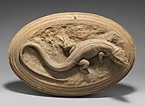 Plaster mold of lizard by Georges Pull