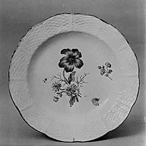 Plate