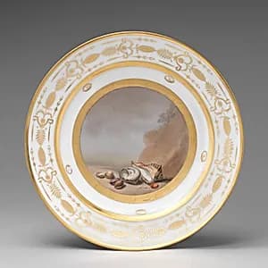 Plate with marine subject