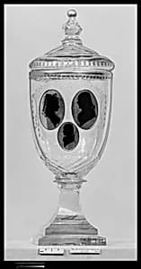Pokal with cover