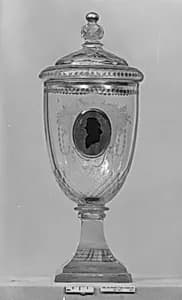 Pokal with cover