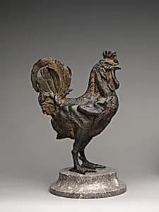 Rooster