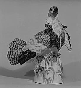 Ruffed bustard