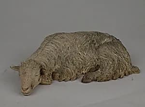 Sleeping sheep by Francesco Gallo