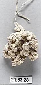 Tassel by Unknown Artist