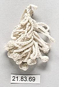 Tassel by Unknown Artist