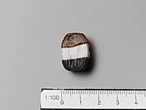 Agate scarab by Unknown Artist