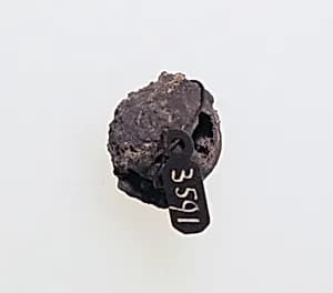 Bead by Unknown Artist