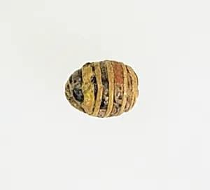 Bead by Unknown Artist