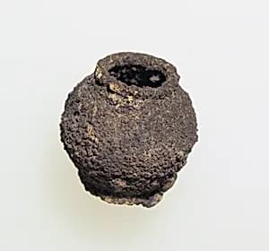 Bead, of double cone by Unknown Artist